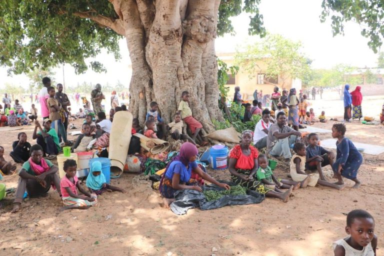 Governador de Cabo Delgado preocupado com a chegada de novos deslocados oriundos de Nampula