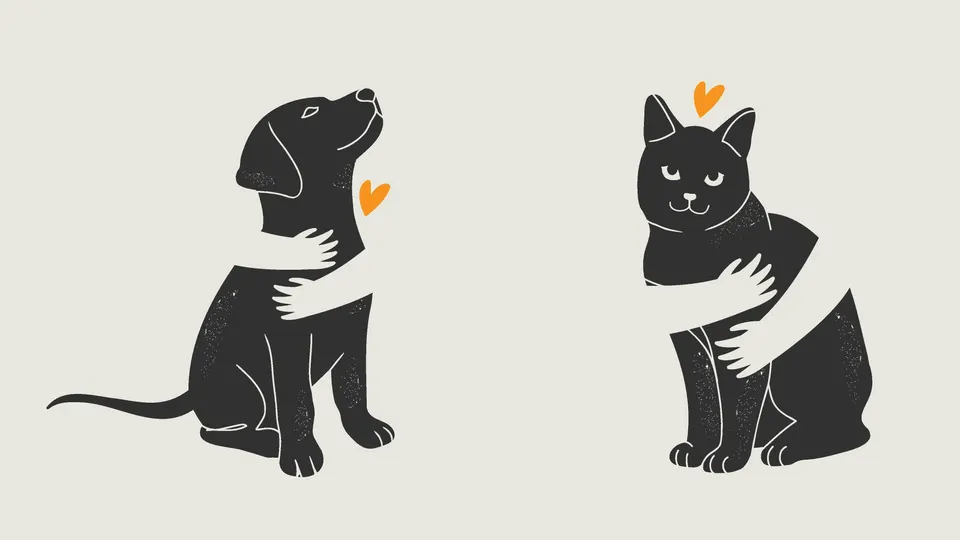 Por Que os Relacionamentos “Gato Preto–Golden Retriever” Funcionam