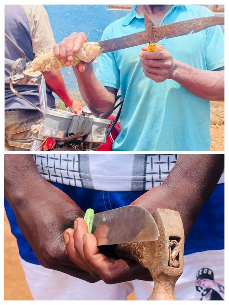 EM MANICA: Capturados meliantes que usavam facas e catanas