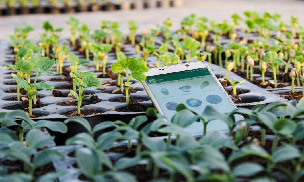 Guiné-Conacri Lança Plataforma Digital de Insumos Agrícolas