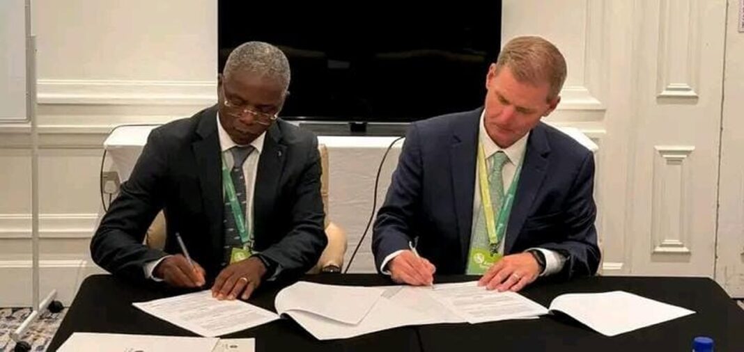 Carige formaliza parceria com FamilySearch para modernizar registos municipais