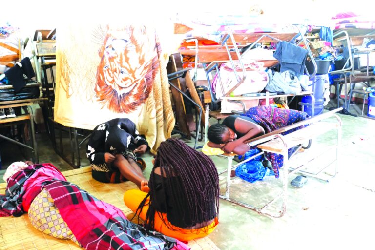 Sobrevivência acima de tudo