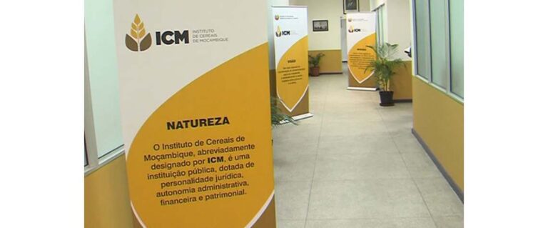 A partir de Fevereiro: Instituto de Cereais de Moçambique passa a centralizar importação de arroz e trigo