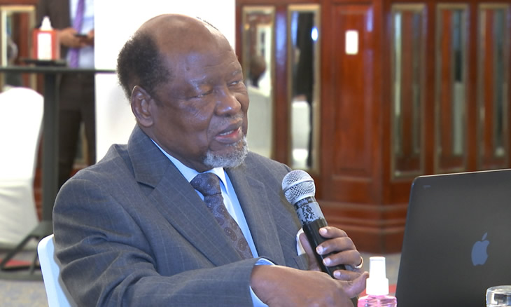 Chissano destaca entrega e legado patriótico de Luísa Diogo
