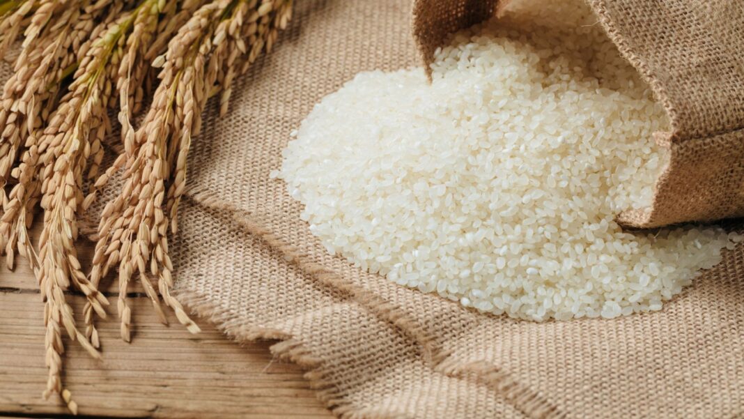 Cada quilo de arroz pode ficar até 21 meticais mais barato
