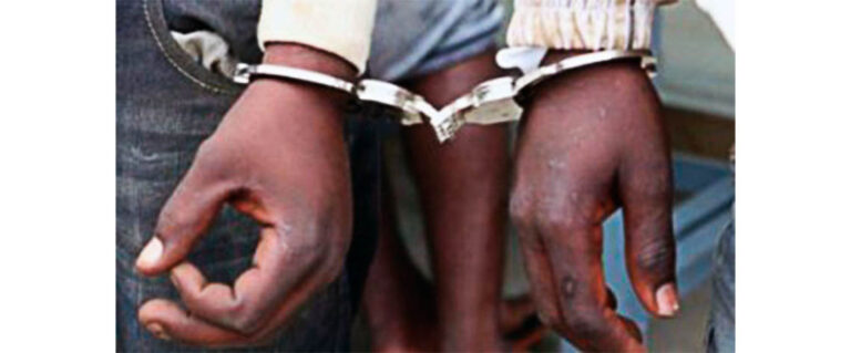 PRM desmantela quadrilha de 16 supostos vendedores e consumidores de drogas em Pemba