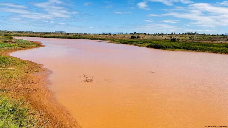 Sociedade NUTRE apresenta método ecológico para limpar rios em Manica