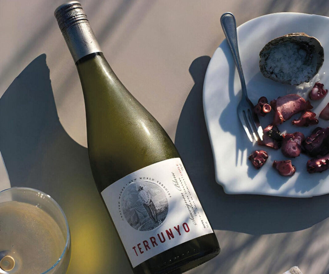 Terrunyo Sauvignon Blanc: A Expressão Máxima do Terroir Chileno