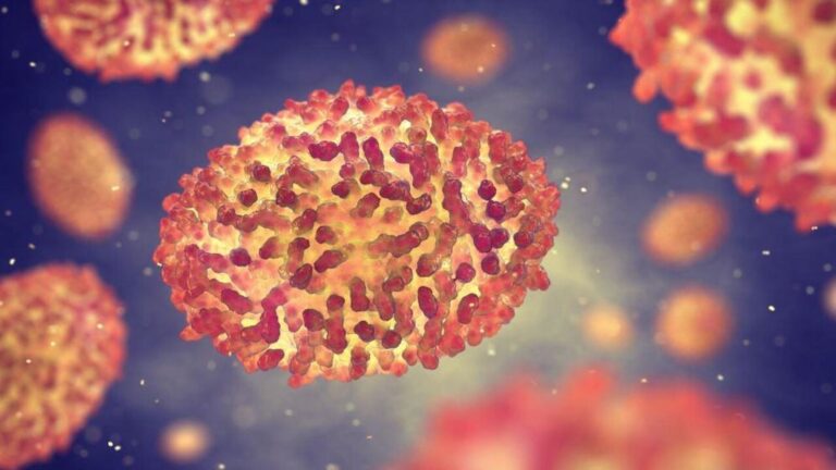 Vírus Nipah Faz Soar Alarmes na Ásia: O Que é, Quais os Sintomas e Como se Transmite?