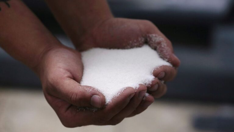 Acordos de Exportação de Açúcar da Índia Ganham Força com Preços Mais Baixos e Moeda Fraca