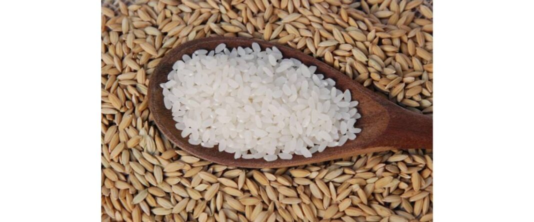 Monopolizar importação de arroz e trigo vai minar concorrência e propiciar corrupção – ARC – Carta de Moçambique – Informação rigorosa e opinião de qualidade de e sobre Moçambique.