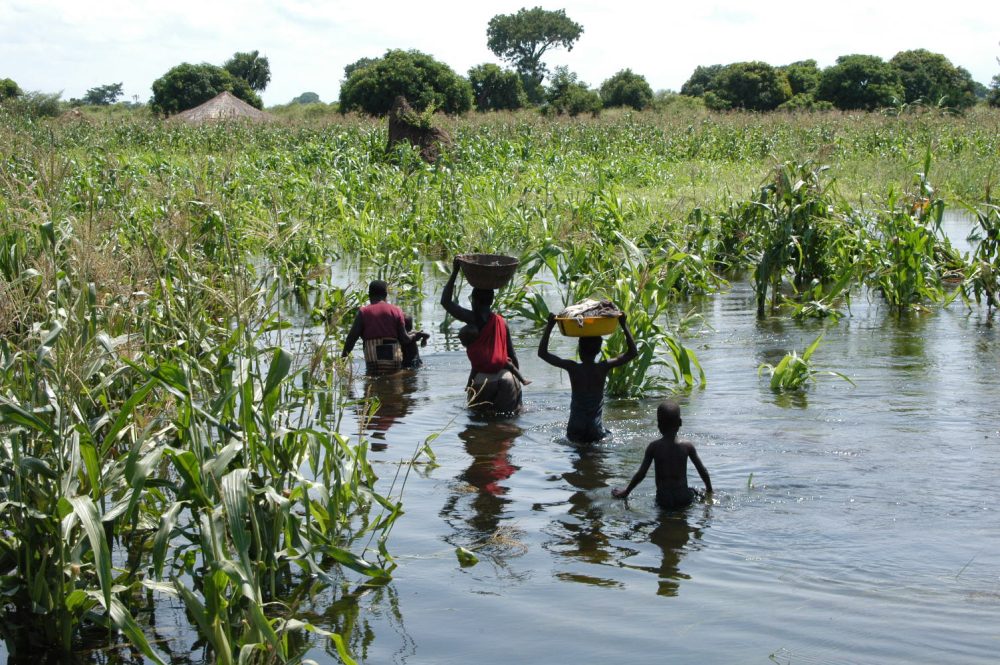 Gaza: Governo diz que vive-se uma verdadeira catástrofe humanitária na bacia do Limpopo – Rádio Moçambique