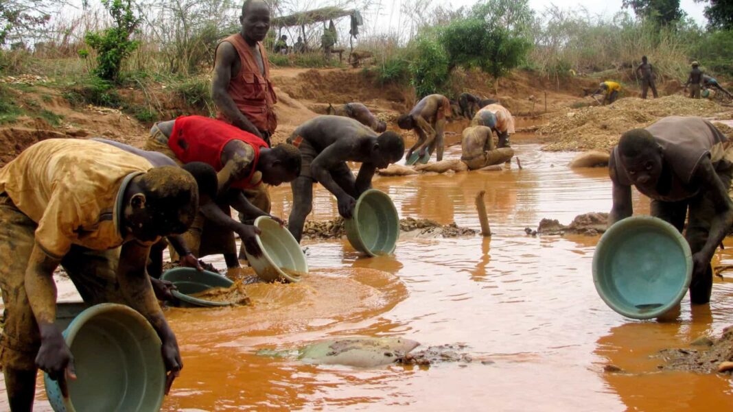 Nampula: Plataforma Decide Denuncia Violações de Direitos Humanos em Confrontos Ligados ao Garimpo
