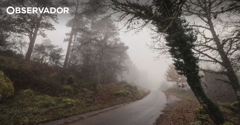 Vários distritos sob aviso devido à chuva e queda de neve esta terça-feira