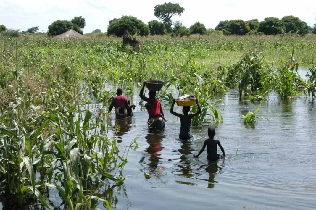 Cheiasː Governo activa alerta vermelho em todo o território nacional