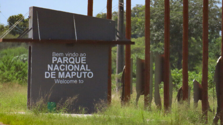 Parque de Maputo reabre serviço de safari – Jornal Domingo | Compromisso com os factos