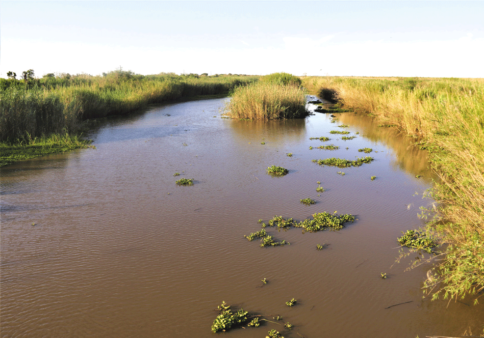 ENTRE HOJE E AMANHÃ: Esperada maior quantidade de chuva