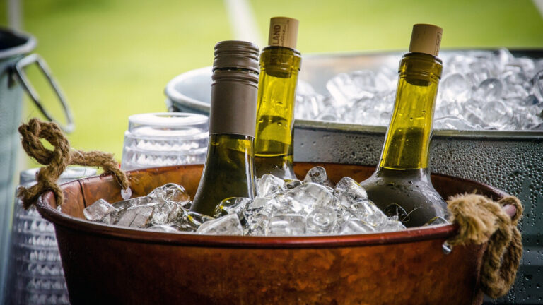 Como Garantir a Temperatura Ideal Dos Vinhos no Verão