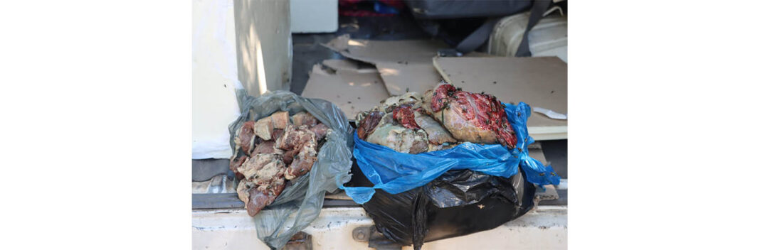 Autoridades apreendem e incineram mais de 90 quilos de carne imprópria no Mercado de Xipamanine