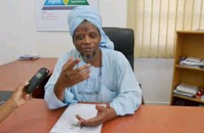 Yacub Sibindy acusa Venâncio Mondlane de auto-vitimização após alegação de atentado