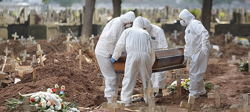 Novo vírus nipah sem vacina nem cura: sintomas, transmissão e prevenção