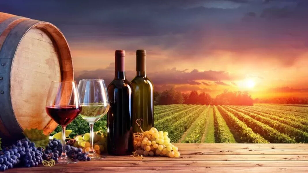 Produção Mundial do Vinho Abaixo do Normal Pelo Terceiro Ano Consecutivo