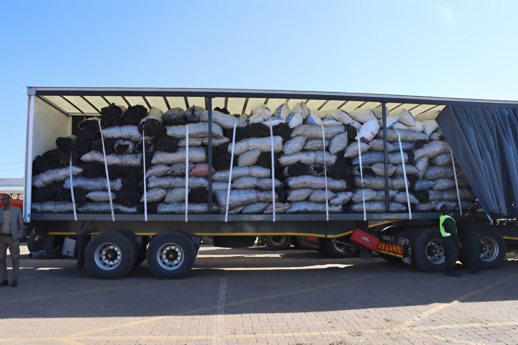 AQUA apreende 150 sacos de carvão vegetal ilegal em Maputo