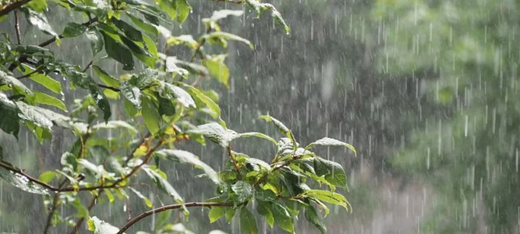 INAM Alerta Para Ocorrência De Chuvas Moderadas A Forte No Norte Do País – Revista Tempo