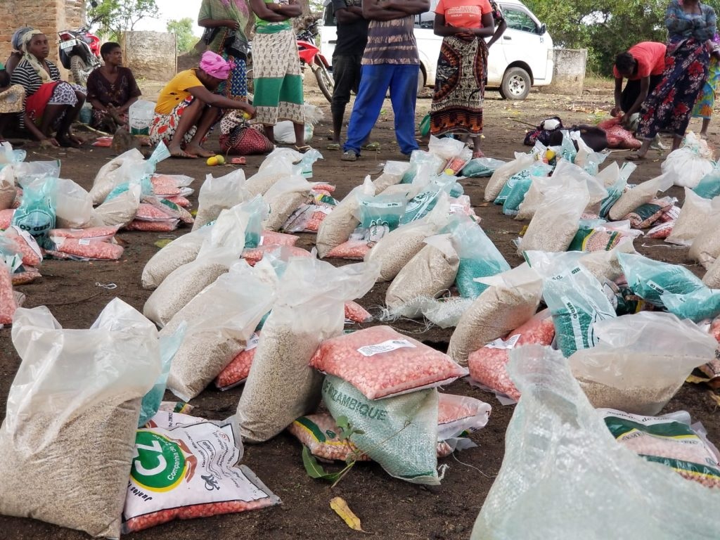 Niassa: Assistência técnica e insumos agrícolas para mais de 5 mil famílias afectadas por inundações