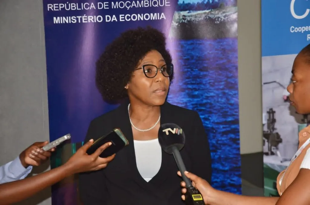 Moçambique Define Couro Como Sector Estratégico Para Industrialização E Integração Regional – Revista Tempo